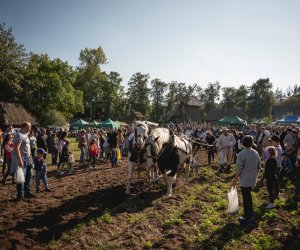 Jesień w polu i zagrodzie - fotorelacja