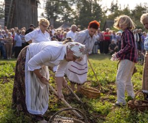 „Jesień w polu i zagrodzie” 2023 r. - fotorelacja i podsumowanie