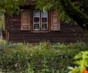 NIECOdziennik muzealny - Wieś w październiku