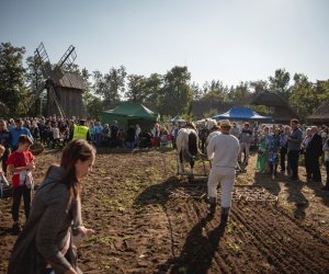 Jesień w polu i zagrodzie - fotorelacja