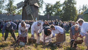 Jesień w polu i zagrodzie 2021 - fotorelacja