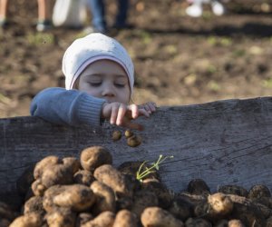 Jesień w polu i zagrodzie 2021 - fotorelacja