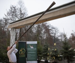 41. Konkurs Gry na Instrumentach Pasterskich im. Kazimierza Uszyńskiego - fotorelacja