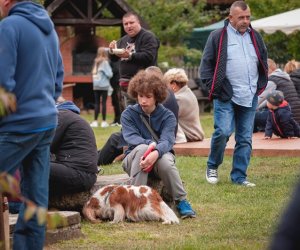 Jesień w polu i zagrodzie - fotorelacja