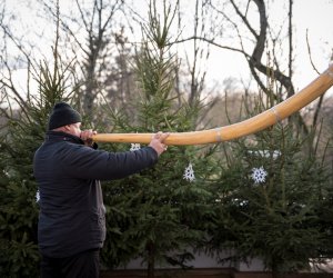 XXXIX Konkurs Gry na Instrumentach Pasterskich - fotorelacja