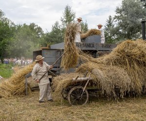 XXI Podlaskie Święto Chleba - fotorelacja