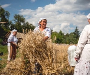 XIX Podlaskie Święto Chleba - fotorelacja