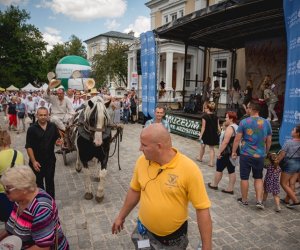 XIX Podlaskie Święto Chleba - fotorelacja