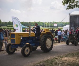 Piknik "Poznaj dobrą żywność" 2019 - fotorelacja