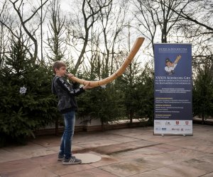 XXXIX Konkurs Gry na Instrumentach Pasterskich - fotorelacja