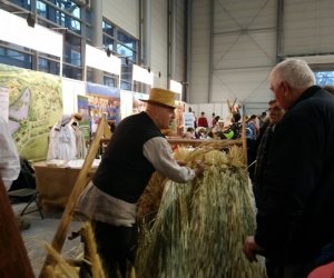 Narodowa Wystawa Rolnicza w Poznaniu