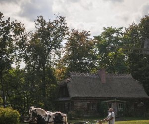 Niecodziennik muzealny - Uprawa ziemniaków w Polsce w XVIII i pierwszych dekadach XIX wieku.