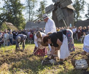 Jesień w polu i zagrodzie 2021 - fotorelacja