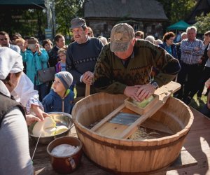 Jesień w polu i zagrodzie - fotorelacja