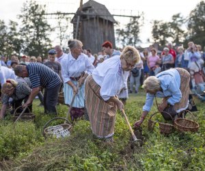 „Jesień w polu i zagrodzie” 2023 r. - fotorelacja i podsumowanie