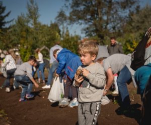 Jesień w polu i zagrodzie - fotorelacja