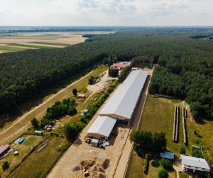 Budowa centralnego magazynu zbiorów wraz z częścią ekspozycyjną i centrum edukacyjnym – etap I