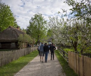 Noc Muzeów - Pełną Parą! - fotorelacja