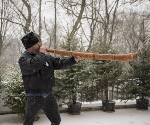 XL Konkurs Gry na Instrumentach Pasterskich im. Kazimierza Uszyńskiego - fotorelacja