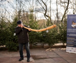 XXXIX Konkurs Gry na Instrumentach Pasterskich - fotorelacja