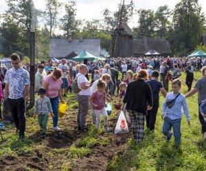 „Jesień w polu i zagrodzie” 2023 r. - fotorelacja i podsumowanie