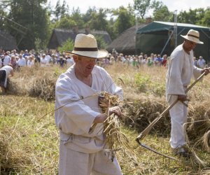 XX Podlaskie Święto Chleba - fotorelacja