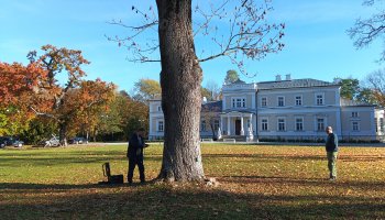 Zakończenie zadania - Konserwacja i pielęgnacja drzew Zakończenie zadania - Konserwacja i pielęgnacja drzew