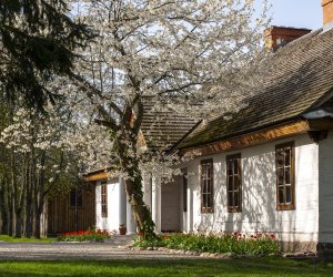 Majówka w Muzeum