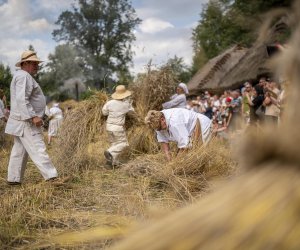 XXI Podlaskie Święto Chleba - fotorelacja