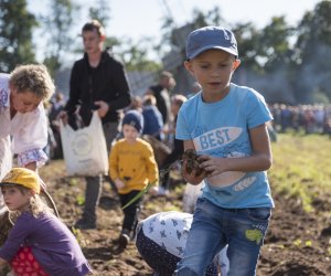 Jesień w polu i zagrodzie 2021 - fotorelacja