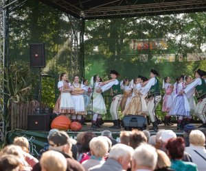 Jesień w polu i zagrodzie - fotorelacja