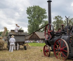 XXI Podlaskie Święto Chleba - fotorelacja