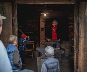 Jesień w polu i zagrodzie - fotorelacja