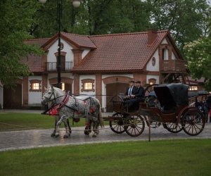 Noc Muzeów 2019 - fotorelacja