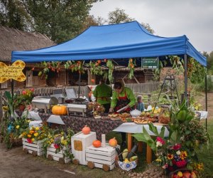 Jesień w polu i zagrodzie - fotorelacja