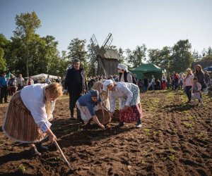 Jesień w polu i zagrodzie - fotorelacja