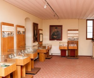 Zakończenie modernizacji wnętrza stajni - Muzeum Weterynarii