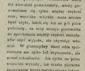 Niecodziennik muzealny - Uprawa ziemniaków w Polsce w XVIII i pierwszych dekadach XIX wieku.