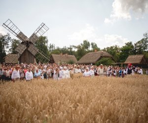 XIX Podlaskie Święto Chleba - fotorelacja