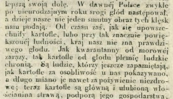 Niecodziennik muzealny - Uprawa ziemniaków w Polsce w XVIII i pierwszych dekadach XIX wieku.