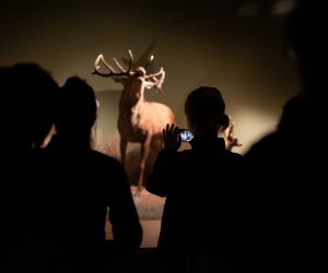 Konferencja Naukowo-Szkoleniowa III PARAZYTOZY ZWIERZĄT - fotorelacja