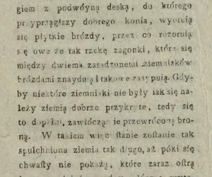 Niecodziennik muzealny - Uprawa ziemniaków w Polsce w XVIII i pierwszych dekadach XIX wieku.