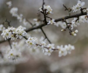 Codziennik Muzealny - Wiosna w ciechanowieckim muzeum