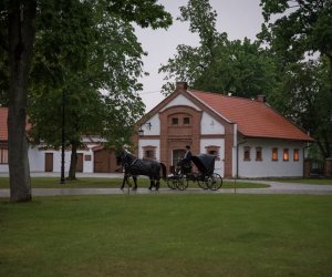 Noc Muzeów 2019 - fotorelacja