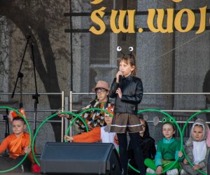 Jarmark św. Wojciecha A.D. 2023 - podsumowanie i fotorelacja