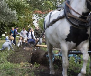 Jesień w polu i zagrodzie. Etnograficzny festiwal kultury ludowej 2022 - fotorelacja