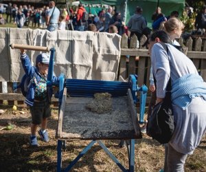 Jesień w polu i zagrodzie - fotorelacja