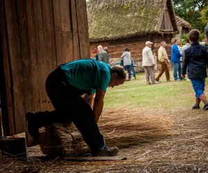 Jesień w polu i zagrodzie