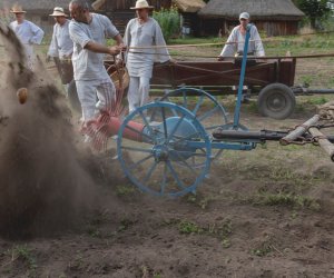 Niecodziennik muzealny - Uprawa ziemniaków w Polsce w XVIII i pierwszych dekadach XIX wieku.