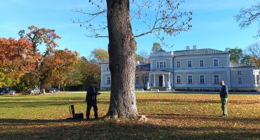 Zakończenie zadania - Konserwacja i pielęgnacja drzew